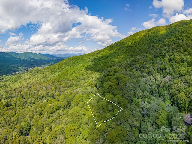 99999 Sara Ridge Rd Unit 32C, Waynesville, NC 28786