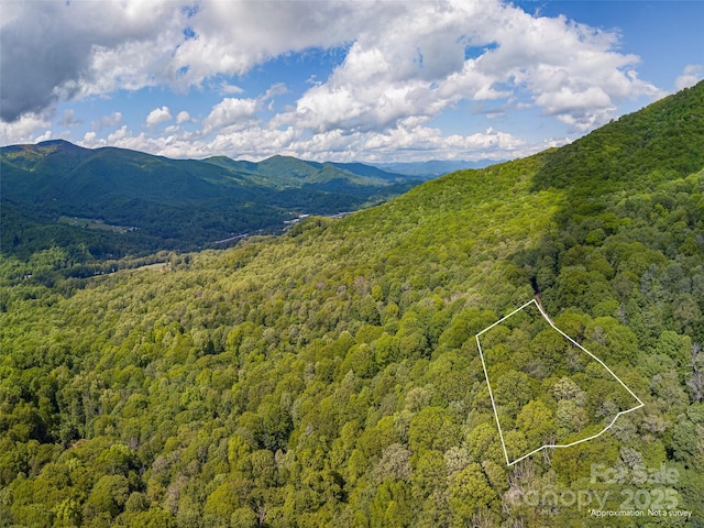 99999 Sara Ridge Rd Unit 32C, Waynesville, NC 28786
