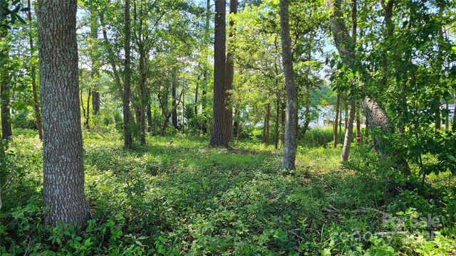110 Windtide Ln Unit 5, New Bern, NC 28532 - photo 10