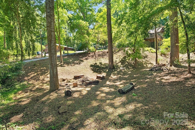 6 Woodland Rd W, Asheville, NC 28806 - view of yard