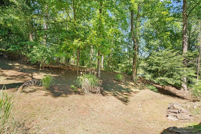 6 Woodland Rd W, Asheville, NC 28806 - view of yard