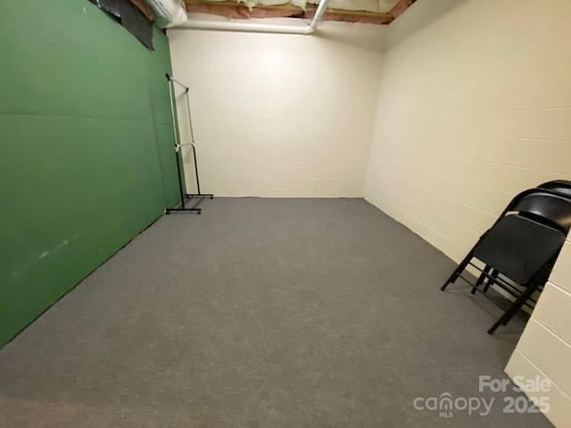 6 Woodland Rd W, Asheville, NC 28806 - finished below grade area with concrete block wall