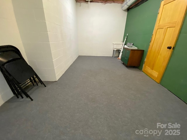 6 Woodland Rd W, Asheville, NC 28806 - below grade area featuring concrete block wall and carpet