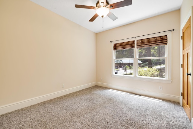 6 Woodland Rd W, Asheville, NC 28806 - photo 29