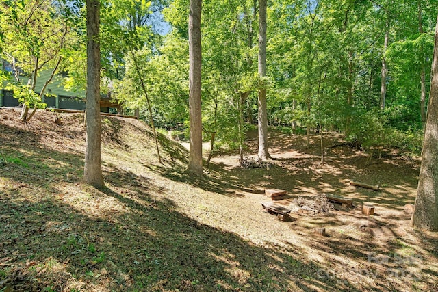 6 Woodland Rd W, Asheville, NC 28806 - photo 45