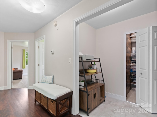 391 Ellen Ave, Canton, NC 28716 - corridor with wood finished floors and baseboards