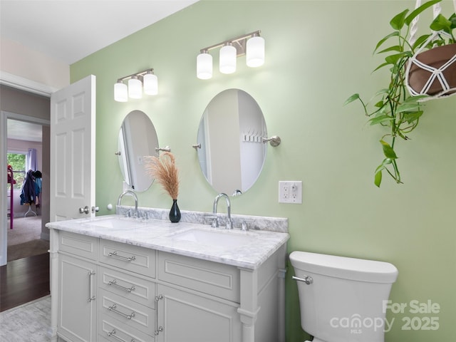 391 Ellen Ave, Canton, NC 28716 - bathroom featuring double vanity, wood finished floors, and toilet