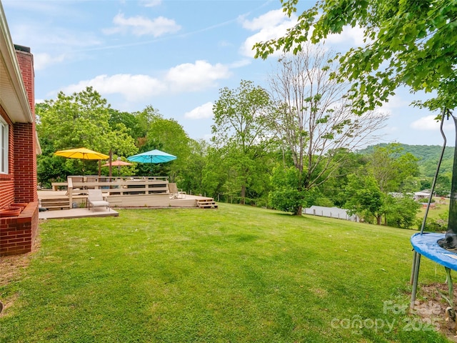 391 Ellen Ave, Canton, NC 28716 - view of yard featuring a trampoline and a wooden deck