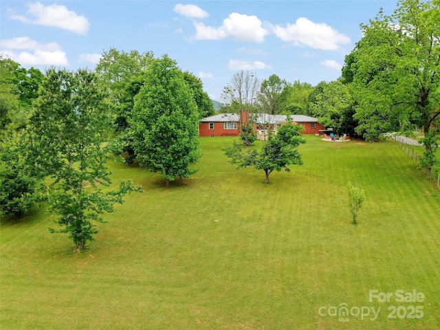 391 Ellen Ave, Canton, NC 28716 - view of green lawn