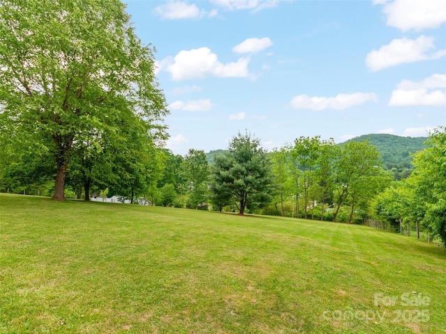 391 Ellen Ave, Canton, NC 28716 - view of green lawn featuring a mountain view