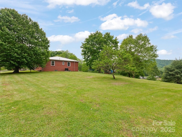 391 Ellen Ave, Canton, NC 28716 - view of green lawn
