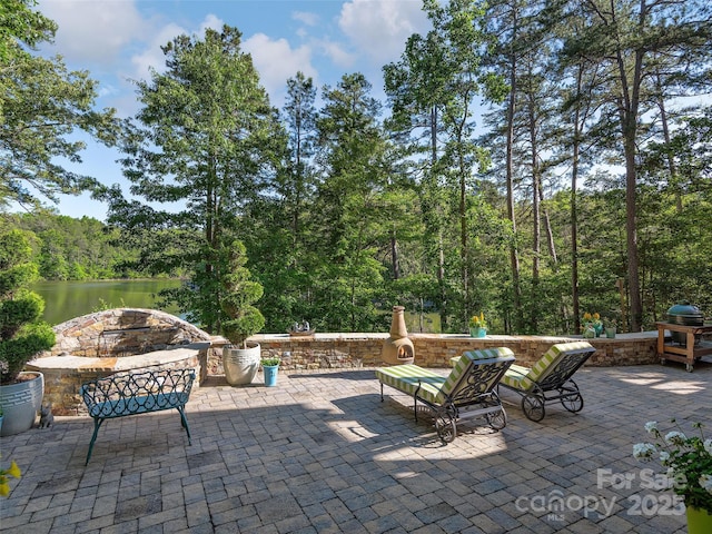 92 Island View Ct, Mill Spring, NC 28756 - view of patio / terrace featuring a water view, an outdoor fire pit, and a forest view