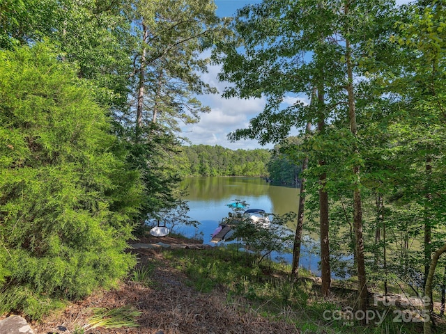92 Island View Ct, Mill Spring, NC 28756 - water view featuring a heavily wooded area