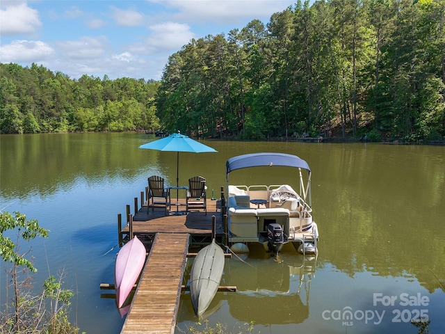 92 Island View Ct, Mill Spring, NC 28756 - dock with a wooded view and a water view