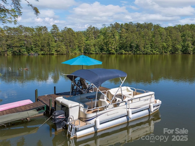 92 Island View Ct, Mill Spring, NC 28756 - dock area featuring a water view and a wooded view