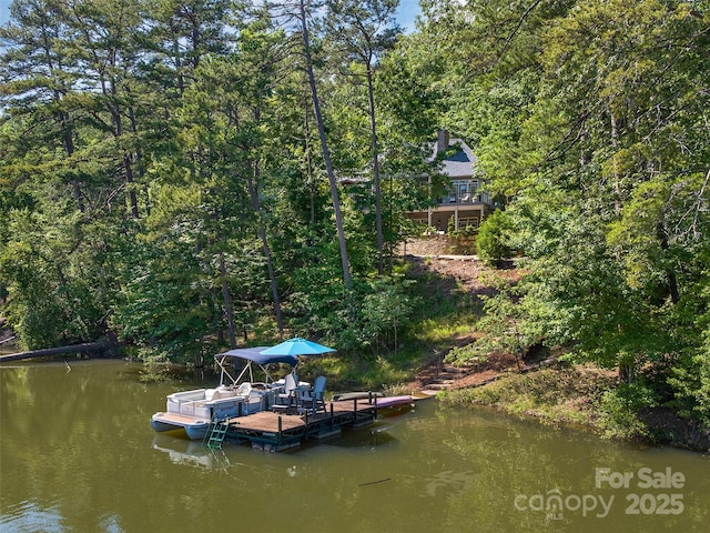 92 Island View Ct, Mill Spring, NC 28756 - dock area featuring a water view and a view of trees