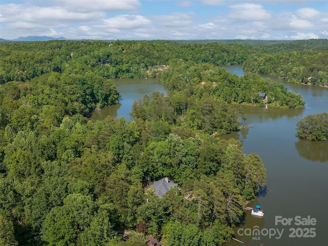 92 Island View Ct, Mill Spring, NC 28756 - bird's eye view of a heavily wooded area and a nearby body of water