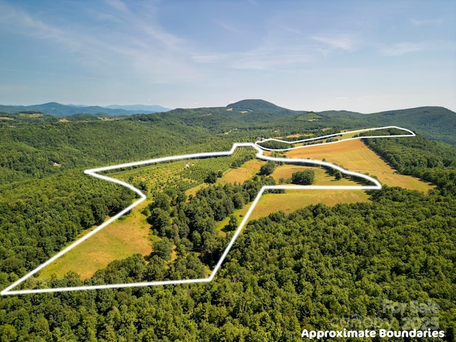 00 Summer Rd, Hendersonville, NC 28792