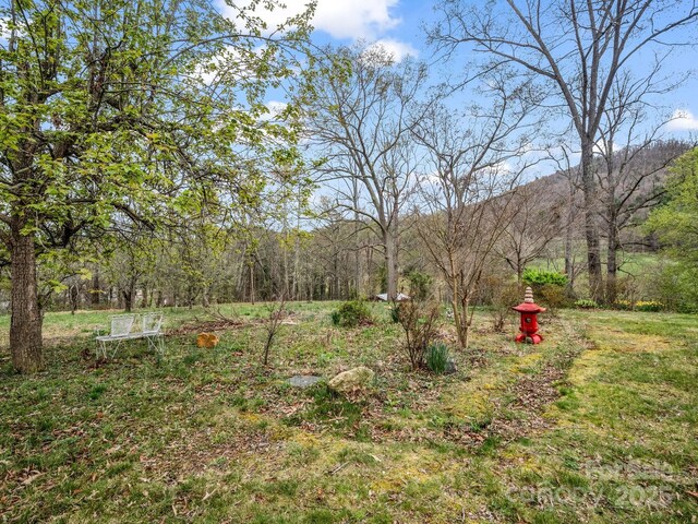 24 Clarke Rd, Asheville, NC 28805 - photo 7