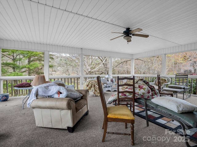 24 Clarke Rd, Asheville, NC 28805 - photo 28