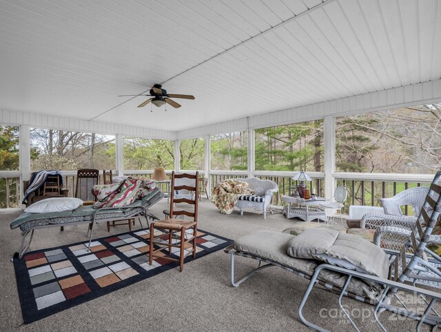 24 Clarke Rd, Asheville, NC 28805 - photo 29