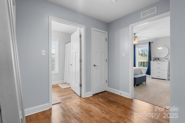 1067 33rd Avenue Loop NE, Hickory, NC 28601 - hall with wood finished floors and baseboards