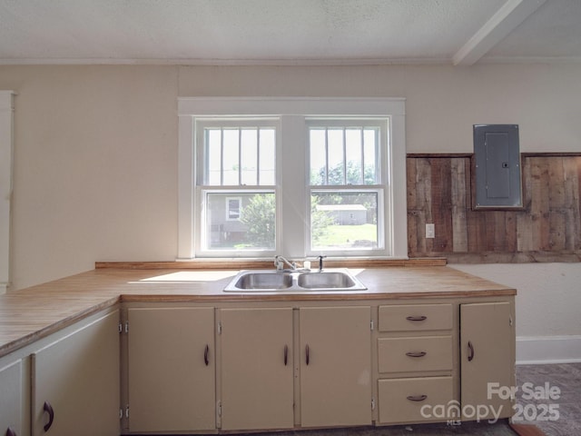 435 W Whitley St, Norwood, NC 28128 - kitchen with electric panel and a sink