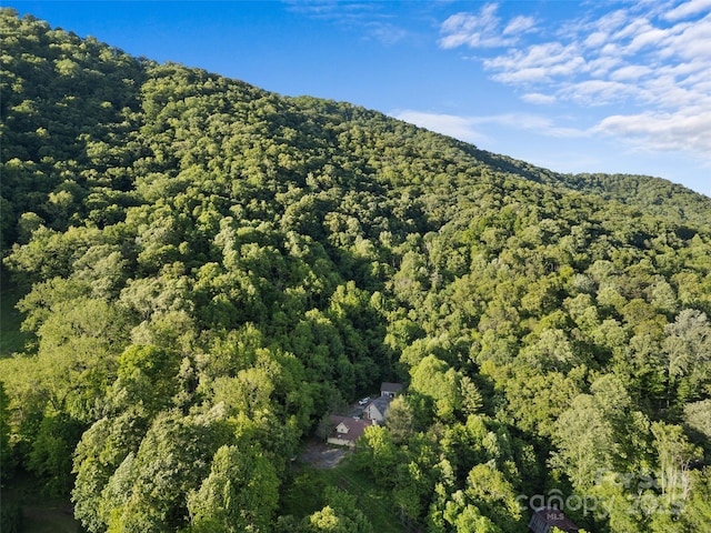 115 Timber Creek Dr, Waynesville, NC 28786 - photo 47