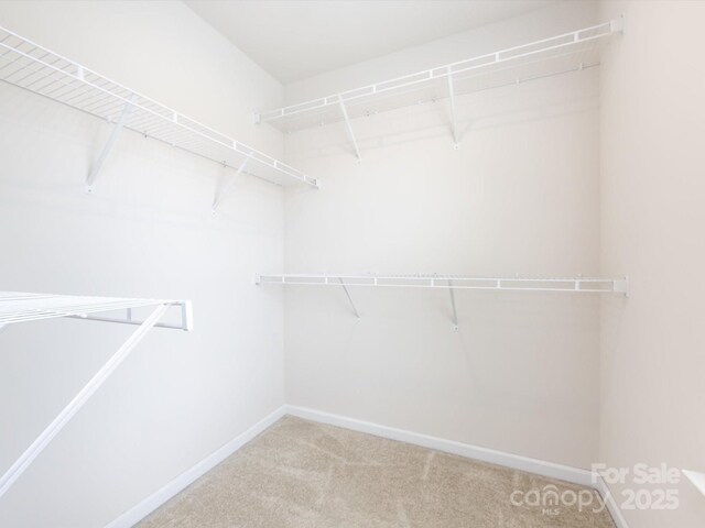 403 Park Meadows Dr, Matthews, NC 28104 - walk in closet with carpet flooring