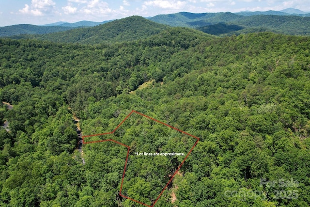 0 Caddis Ln, Horse Shoe, NC 28742