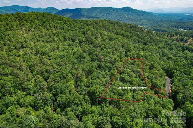 0 Caddis Ln, Horse Shoe, NC 28742