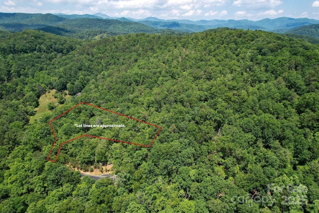 0 Caddis Ln, Horse Shoe, NC 28742