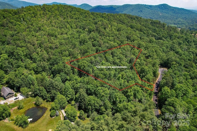 0 Caddis Ln, Horse Shoe, NC 28742