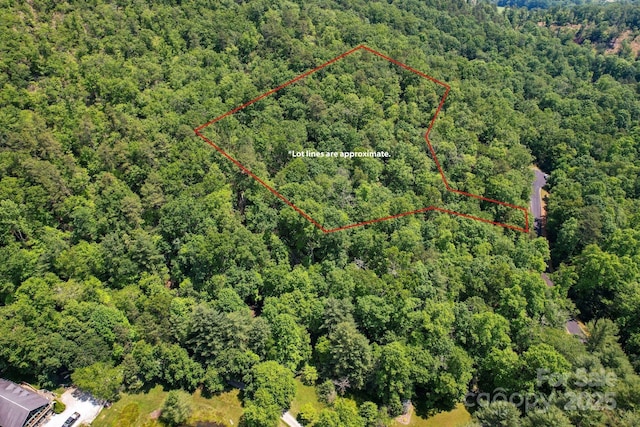 0 Caddis Ln, Horse Shoe, NC 28742