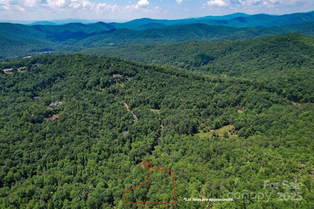 0 Caddis Ln, Horse Shoe, NC 28742
