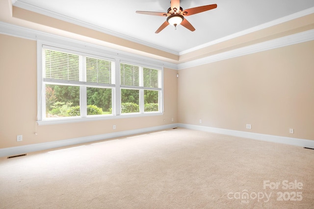 3204 Mcpherson St, Waxhaw, NC 28173 - unfurnished room featuring crown molding, a tray ceiling, light carpet, and baseboards