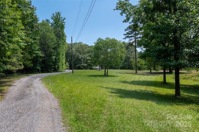 1115 John Short Rd, Indian Land, SC 29707 - photo 39