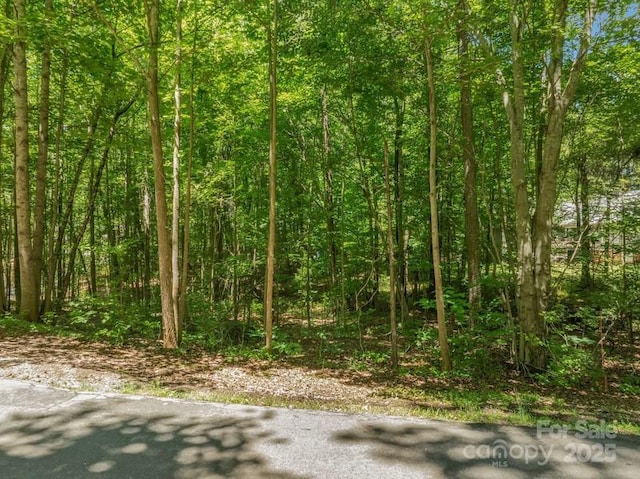 0 Nablus Dr Unit 5, Waxhaw, NC 28173