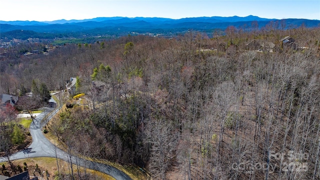 240 Mountain Crest Dr, Hendersonville, NC 28739 - photo 2