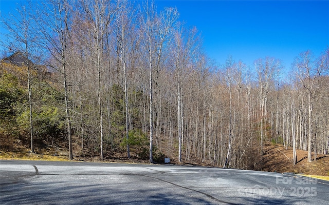 240 Mountain Crest Dr, Hendersonville, NC 28739 - photo 5