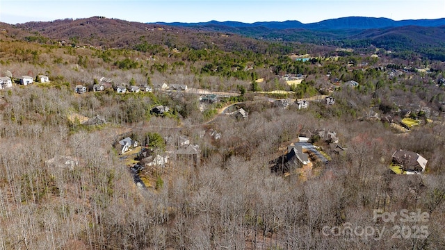 240 Mountain Crest Dr, Hendersonville, NC 28739 - photo 6