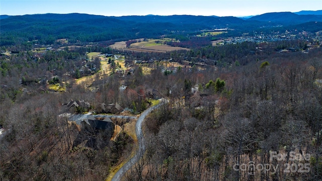 240 Mountain Crest Dr, Hendersonville, NC 28739 - photo 7