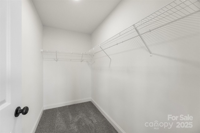 105 Spring Garden Dr, Gastonia, NC 28052 - spacious closet with dark colored carpet