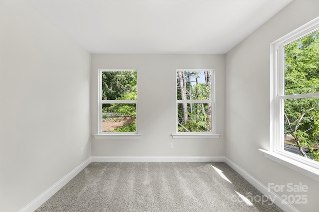 105 Spring Garden Dr, Gastonia, NC 28052 - unfurnished room featuring healthy amount of natural light, baseboards, and light carpet