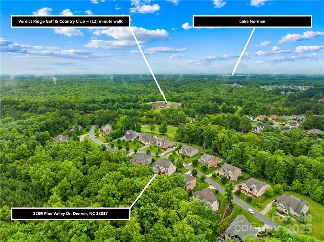 2289 Pine Valley Dr, Denver, NC 28037 - aerial view of residential area featuring a forest and property boundaries highlighted