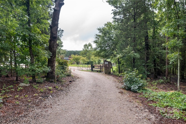 2310 Gill Jordan Rd, Chester, SC 29706 - view of dirt / gravel driveway featuring a gated entry