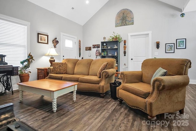 5016 Old Pine Ln, Cherryville, NC 28021 - living room featuring dark wood-style floors, high vaulted ceiling, and baseboards