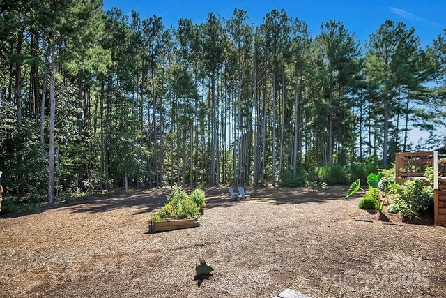 5016 Old Pine Ln, Cherryville, NC 28021 - view of yard