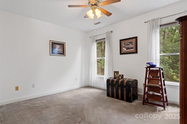 133 37th Avenue Pl NW, Hickory, NC 28601 - photo 31