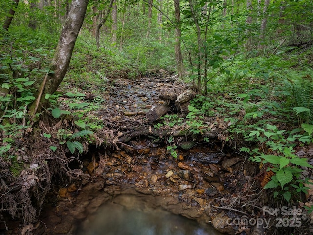 100 Tarragon Pl, Flat Rock, NC 28731 - view of wooded area